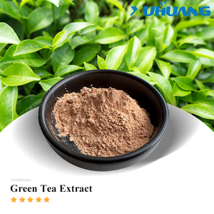 Offre Spéciale meilleur prix approvisionnement d'usine 98% polyphénols de thé, 80% catéchines, 50% extrait de thé vert EGCG - Product Image 4