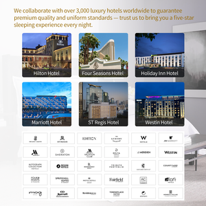 <span class=keywords><strong>Oreiller</strong></span> <span class=keywords><strong>d</strong></span>'Hôtel Hilton de Luxe, Coton Doux 100%, Plumes Artificielles, Cœur <span class=keywords><strong>d</strong></span>'<span class=keywords><strong>Oreiller</strong></span> de Lit Blanc, Coton <span class=keywords><strong>d</strong></span>'Hôtel en Gros - Product Image 2