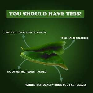 Hojas de Guanábana Crudas Naturales de Alta Calidad, Especias y Hierbas de Sri Lanka, Secas Enteras - Product Image 4