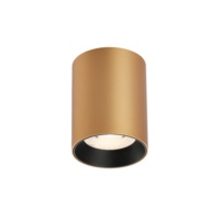 Projet d'hôtel 6w/8w Dimmable COB LED projecteur de plafond monté en surface avec télécommande Tuya 0-10V Deli Commercial