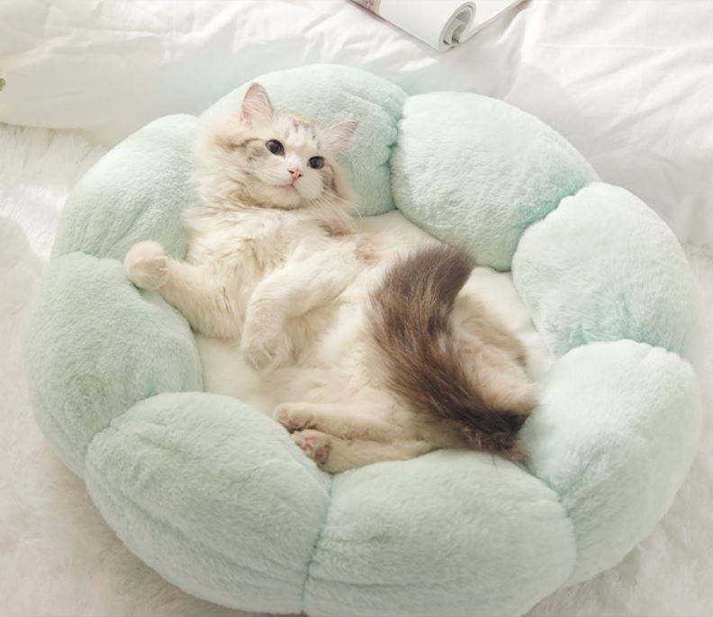 สีเขียวอ่อนมีสีขาว