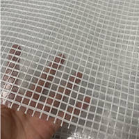 Bâche de chantier transparente en HDPE/PE, protection contre les UV, bord renforcé, œillets, tailles personnalisées, découpe