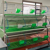 Fabricant vend directement des cages d'élevage de lapins de nouvelles spécifications multiples, en acier galvanisé, faciles à nettoyer