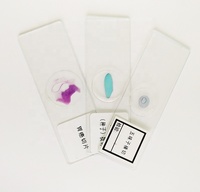 High Quality 100pcs Medical Parasitology Prepared Slides Set Biopharmaceutical Biological Preparation Slides Teaching Resources