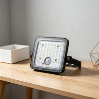 Projecteur LED solaire pour extérieur, rechargeable, pour jardin