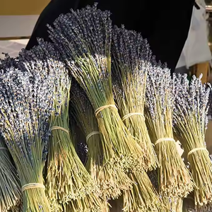 Fiori di Lavanda Essiccati e Steli Angel Flowers, Mazzo per Decorazione Tavola, Centrotavola per Natale e Capodanno, Lunga Durata - Product Image 3