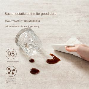 <span class=keywords><strong>Tapis</strong></span> italien minimaliste moderne et luxueux pour le salon, la chambre à coucher et le canapé <span class=keywords><strong>Tapis</strong></span> de sol facile à entretenir résistant à la saleté pour la maison avancée - Product Image 3