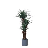 Plante verte d'intérieur nordique décorative en pot, Arbre du sang de dragon à tiges épaisses, Grand modèle tendance, Artificiel, Écologique, Réaliste, 80 cm