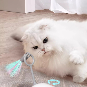 Jouet de voiture de sport en plumes intelligent écologique pour chats Mode de conduite autonome en plastique durable - Product Image 3