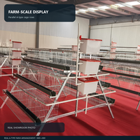 Cage d'Élevage Type A 4 Niveaux Entièrement Automatique en Treillis d'Acier pour Poules Pondeuses, Neuf, pour Volailles et Poulets de Chair
