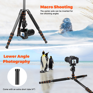 Giá đỡ ba chân máy ảnh với đầu bi 360 ° thích hợp cho ống nhòm Canon Nikon kính viễn vọng - Product Image 6