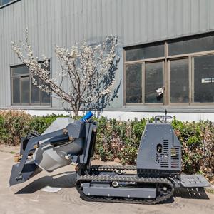 شاحنة قلابة صغيرة صغيرة ، مجنزرة إسمنتية ، للاستخدام المنزلي ، محرك EPA - Product Image 1