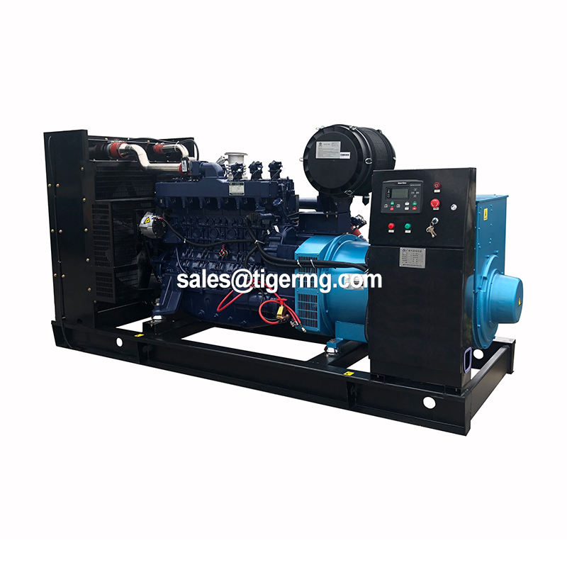 Small Wood Biomass Gasifier Generator for Household Power
