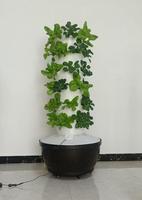36 plantes Serre hydroponique Plantes Tour verticale Systèmes de culture Laitue Plante Tour Tour en plastique 75*75*45cm 3 Mois 155cm