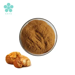 Lion 'S Mane Paddestoel Extract 30% Polysacchariden Poeder