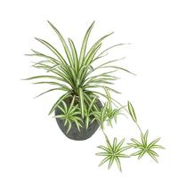 Plante Artificielle Murale Grande Fleur Colorée pour Maison et Jardin Extérieur, Étiquette Personnalisée, Fontaine à Eau, Plantes Artificielles Suspendues