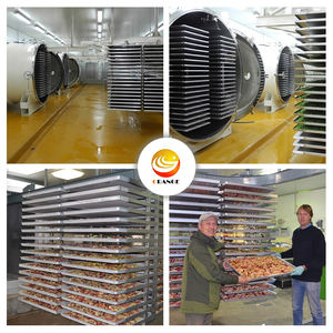 100 Kg toplu Berry çözünebilir kahve üretim hattı endüstriyel vakum donmalı kurutucu fiyat - Product Image 2