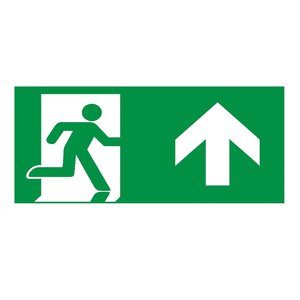 Pictogramma Segnale di Emergenza 25x15 Cm con Freccia Verso l'Alto per Direzione Uscita - Product Image 1