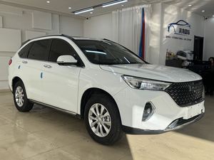 Miglior SUV 2021 Haval M6 Usato: Alta Qualità, Ottime Condizioni e Prezzo Equo. Perché Paga Più? Disponibile ORA - Product Image 3