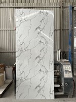 Panneau mural en PVC imperméable de 3 mm, design populaire, transfert thermique, revêtement UV haute brillance, pour chambre, villa, salle de bain, intérieur
