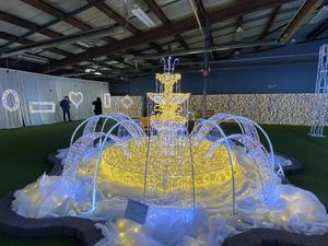 Espectaculares Luces LED 3D para Fuentes, Impermeables IP65, Color Personalizable, Fácil Instalación, para Parques, Plazas, Festivales Navideños - Product Image 1