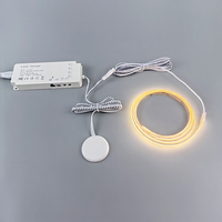 Interrupteur tactile à intensité variable 12V 24V à commande individuelle, interrupteur inductif invisible, capteur tactile invisible pour éclairage d'armoire, durée de vie 5 ans