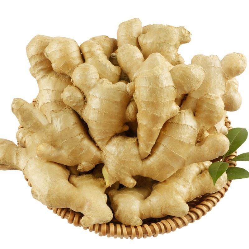 Factory Direct Supply Ginger Fresh China