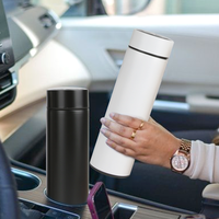 Mug Thermique 500 ml avec Infuseur à Thé, Écran Tactile, Flasque Isotherme Scellée Sous Vide, Affichage LED de Température, Bouteille Intelligente Isolée