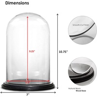 Cúpula de Acrílico con Base de Madera Negra, Exhibidor Decorativo, Campana de Cristal para Objetos Antiguos y Coleccionables, Terrario, Decoración del Hogar