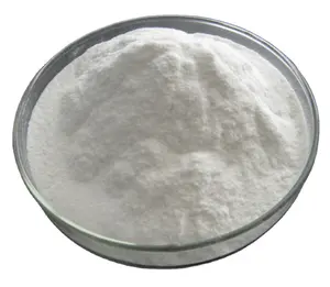 High Quality 20000 HPMC Powder Coating Raw Material Chemical Auxiliary Agent for Daily Chemicals