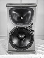 Système de sonorisation professionnel pleine gamme KP052 de 12 pouces pour KTV, discothèques et lieux haut de gamme – Haute puissance, faible distorsion, logo rotatif