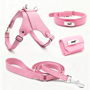 Imbracature, Guinzagli e Collari per Animali Domestici con Motivi Stampabili Originali e alla Moda, Forniture per Animali Domestici Transfrontaliere - Product Image 2