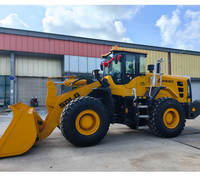 Gebrauchter SDLG 956F 5-Tonnen-Radlader mit Stabilem Hydrauliksystem und Anpassbaren Anbaugeräten