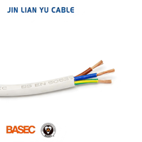 Câble en cuivre sans oxygène de haute qualité BASEC ROHS pour bâtiment, léger, ignifuge en PVC, haute conductivité, durable