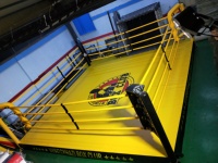Ring de boxe Muay Thai standard de compétition, taille 4mX4m 5mX5m, rings de boxe, cages MMA, couleur noire, escalier pour salle de boxe