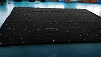 CW blanc froid LED étoile rideau nuit ciel velours tissu écran matrice lumière toile de fond