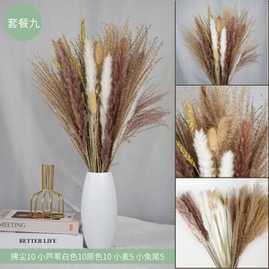 <span class=keywords><strong>Mini</strong></span> <span class=keywords><strong>bouquet</strong></span> de <span class=keywords><strong>fleurs</strong></span> <span class=keywords><strong>séchées</strong></span> gypsophile naturelles, vente en gros, bon marché - Product Image 6