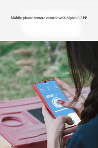 Nouvelle arrivée IR42 nouveaux produits <span class=keywords><strong>12V</strong></span> 24V <span class=keywords><strong>220V</strong></span> <span class=keywords><strong>Camping</strong></span> réfrigérateur congélateur Portable glacière maison voiture réfrigérateurs - Product Image 6