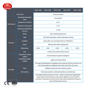 Four de séchage à air forcé de laboratoire avec écran LCD, capacité 60L, certifié CE - Product Image 3