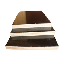 Panneaux de construction en bois d'eucalyptus noir fournis par le fabricant, contreplaqués en peuplier pour salons et chambres étanches