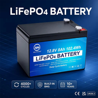 Baterai Deep Cycle Grade A 12v 24v 50ah 100ah 150ah 200ah Solar Lifepo4 Lithium Penyimpanan Energi Portabel