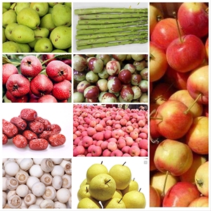 Máquina Clasificadora de Patatas y Arroz de Bajo Consumo Energético, Proveedor de Máquinas Clasificadoras de Frutas - Product Image 4