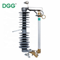 Dispositif de protection de distribution DGG pour transformateur extérieur, dispositif de sécurité contre les surintensités, fusible pour ligne aérienne