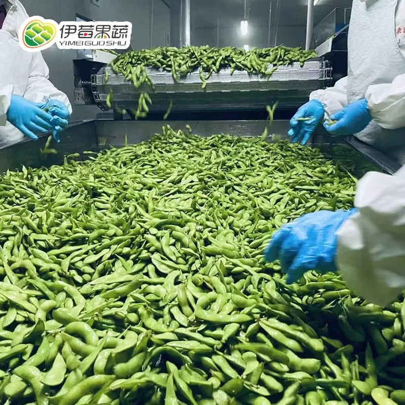 ISO9001 standard IQF verdure surgelate surgelate edamame