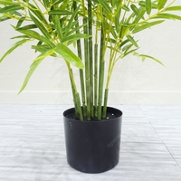 Vente en gros de fleurs de bonsaï vivants en bambou artificiel d'aspect réel Décoration de mariage extérieure d'intérieur Décoration extérieure d'intérieur de qualité supérieure