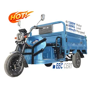 Lb-Zz180S 5 Wheel New Export Popular Model Adult Passenger 5 Wheel Motorized Truck Cargo Tricycle Motorcycle