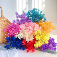 Bunga Nigella Star Anise Dekoratif Multi Warna Abadi untuk Buket, Dekorasi Meja Rumah, Pernikahan, DIY, Pengisi Bunga