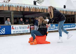 Aide au patinage sur glace, lion marin, <span class=keywords><strong>foca</strong></span> pour patinoire - Product Image 6