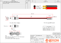 Connecteur mâle 12V vers câble à fils nus DC 5.5x2.5mm, câble d'alimentation pour chargeur d'ordinateur portable