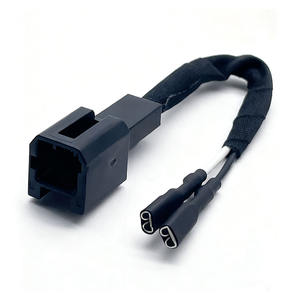 OEM EDM, заводская цена, автомобильный разъем для быстрого подключения, обжимной клеммный кабельный узел, 2-контактный автомобильный жгут проводов - Product Image 1